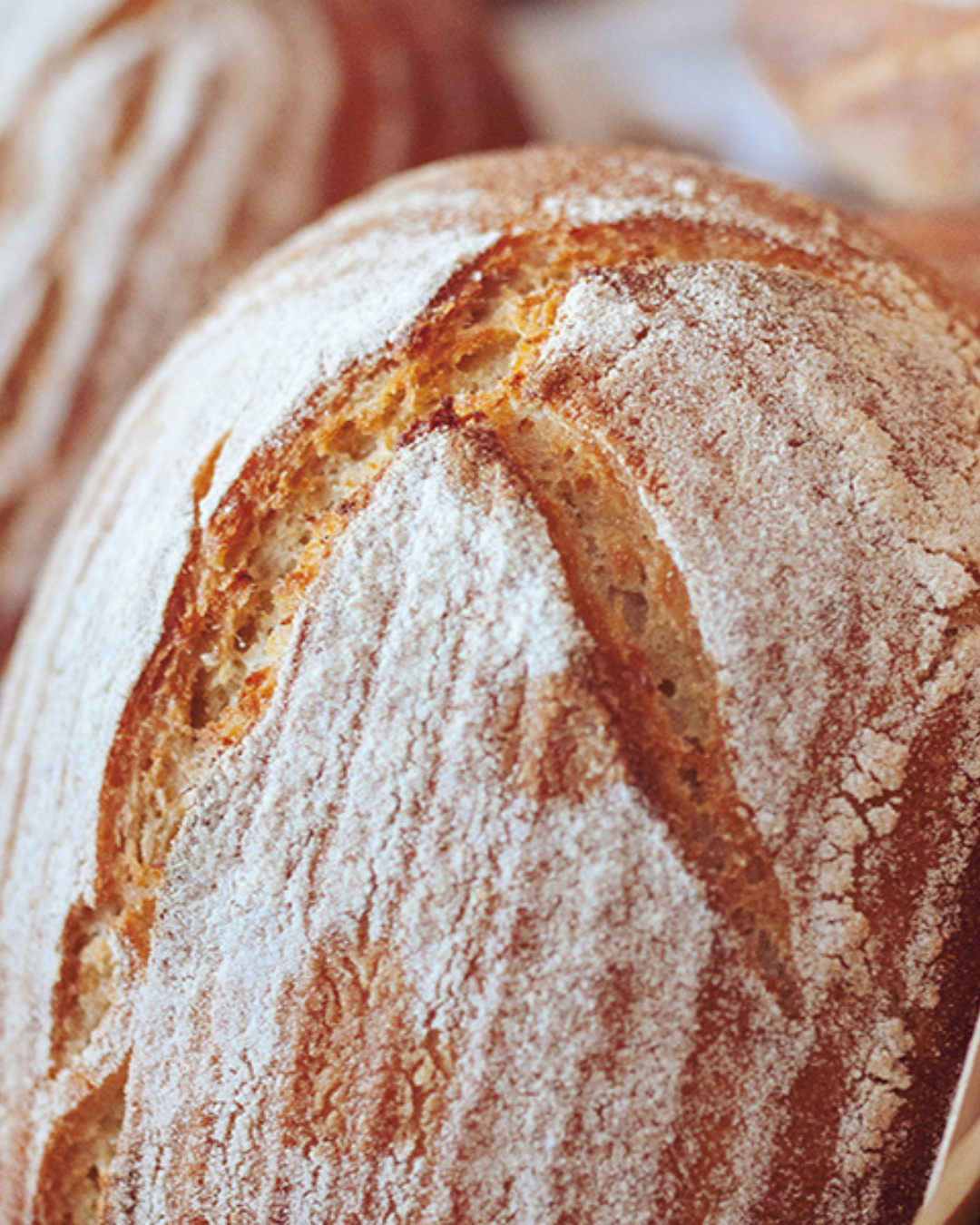 Glutenfreie Brote